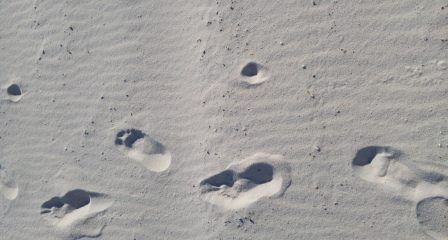 Footprints Challenge